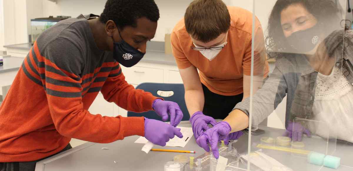 Water Quality Monitoring students working in a lab