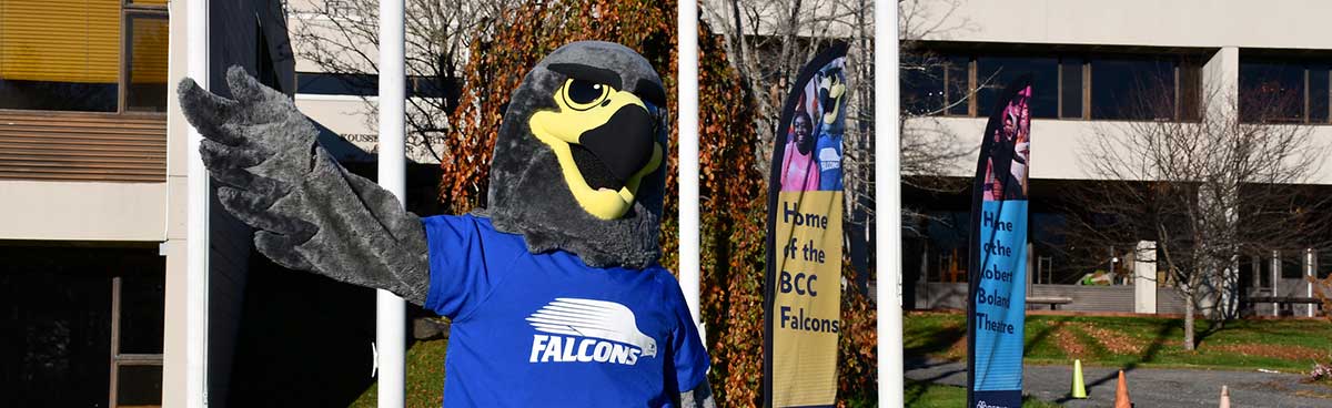 Falcon mascot