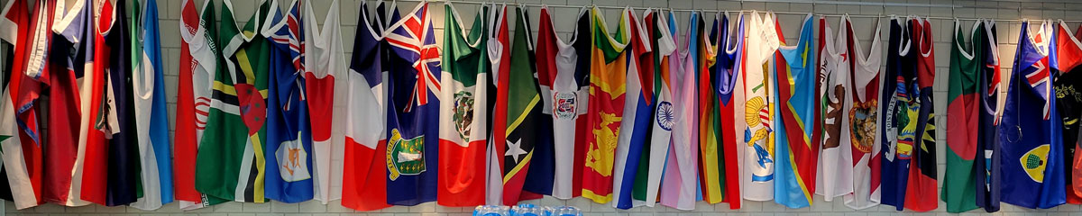 International student flags