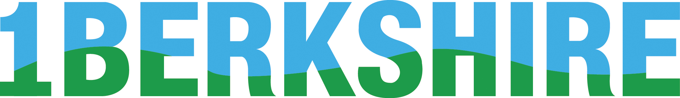 Visit the 1Berkshire website