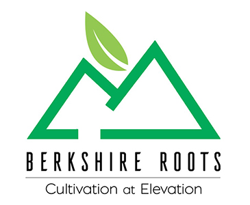 berkshire roots