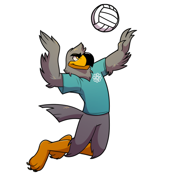 Graphic of Burke the falcon mascot playing volleyball