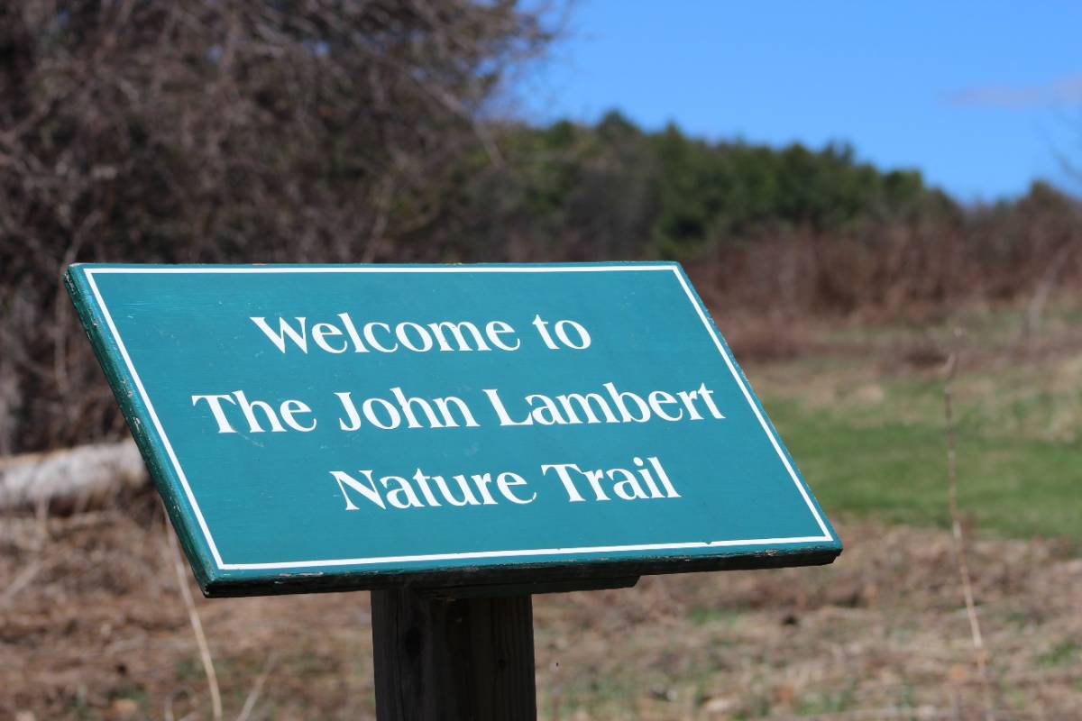 John Lambert on BCC nature trail