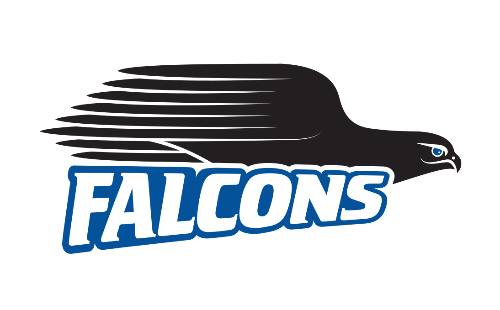 BCC falcon logo