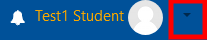 screenshot of profile icon