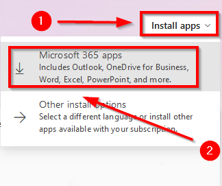 Screenshot of Office 365 install option.