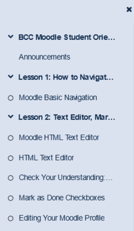 Image showing Moodle course index