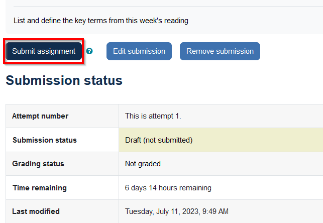 screenshot of submit assignment
