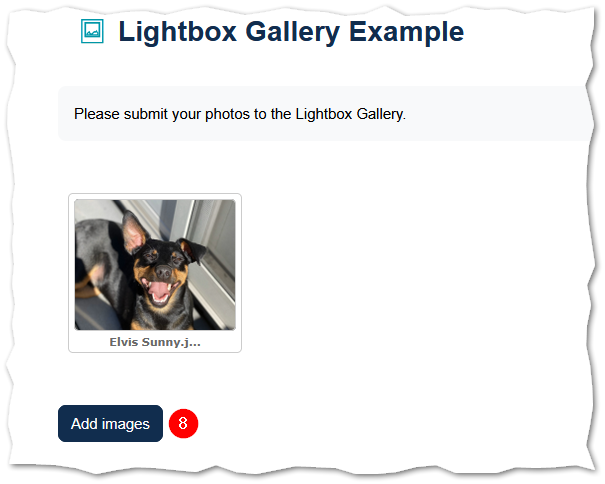 Moodle Lightbox Gallery activity page titled 'Lightbox Gallery Example' now displaying a successfully uploaded image thumbnail of a dog with the filename 'Elvis Sunny.j...' shown beneath it. The 'Add images' button at the bottom of the page is highlighted with a red numbered callout labeled 8, indicating it can be used to upload additional images.