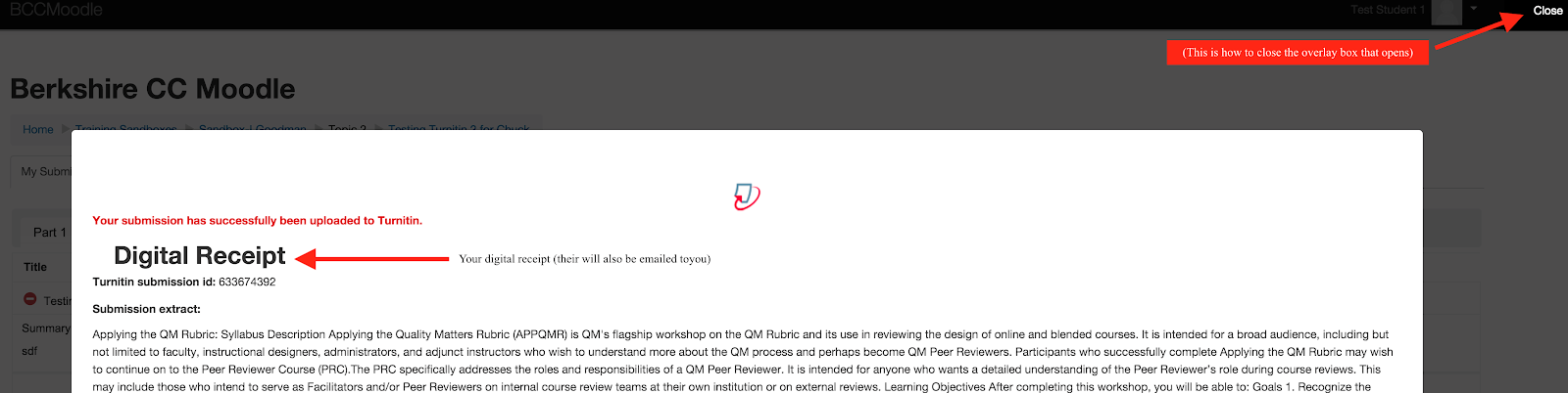 Screenshot of a Turnitin Digital Receipt.